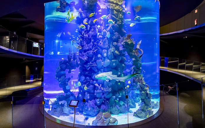 Large cylindrical aquarium with diverse fish and coral at Poema del Mar Aquarium.