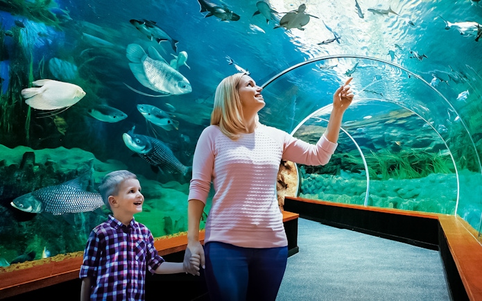 Visitors exploring underwater tunnel at Poema del Mar Aquarium.