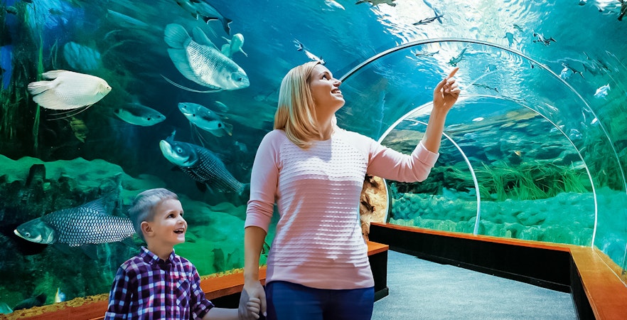 Poema Del Mar Aquarium