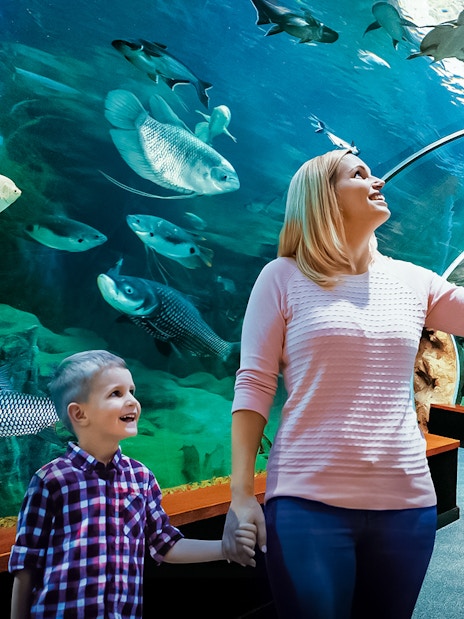 Visitors exploring underwater tunnel at Poema del Mar Aquarium.