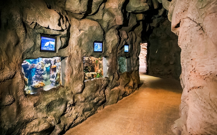 Aquarium tunnel with rock walls and fish tanks at Poema del Mar.