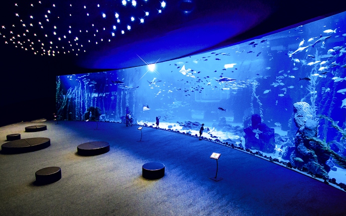 Visitors viewing marine life at Poema del Mar Aquarium, large tank with diverse fish.