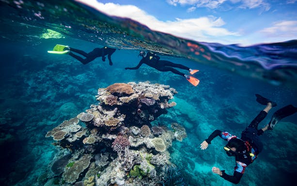 Snorkelers exploring coral reef during Dreamtime Dive & Snorkel Experience from Cairns.
