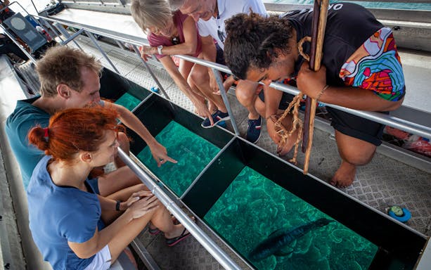 Visitors observing marine life through a glass-bottom boat on the Dreamtime Dive & Snorkel tour from Cairns.
