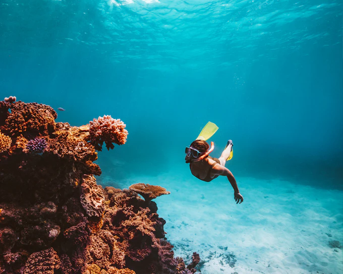 From Cairns: Dreamtime Dive & Snorkel Experience Tickets