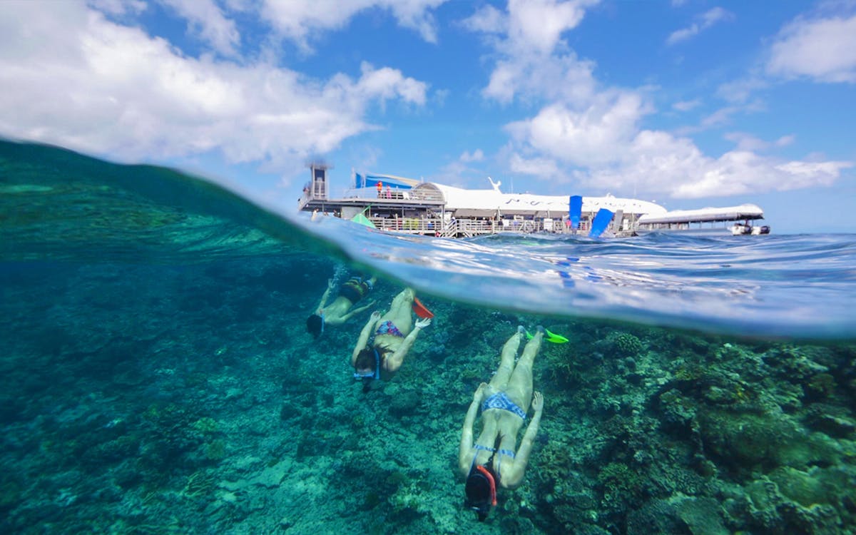 tickets to outer great barrier reef cruise with tropical buffet lunch and snorkelling-3 tickets to outer great barrier reef cruise with tropical buffet lunch and snorkelling-3