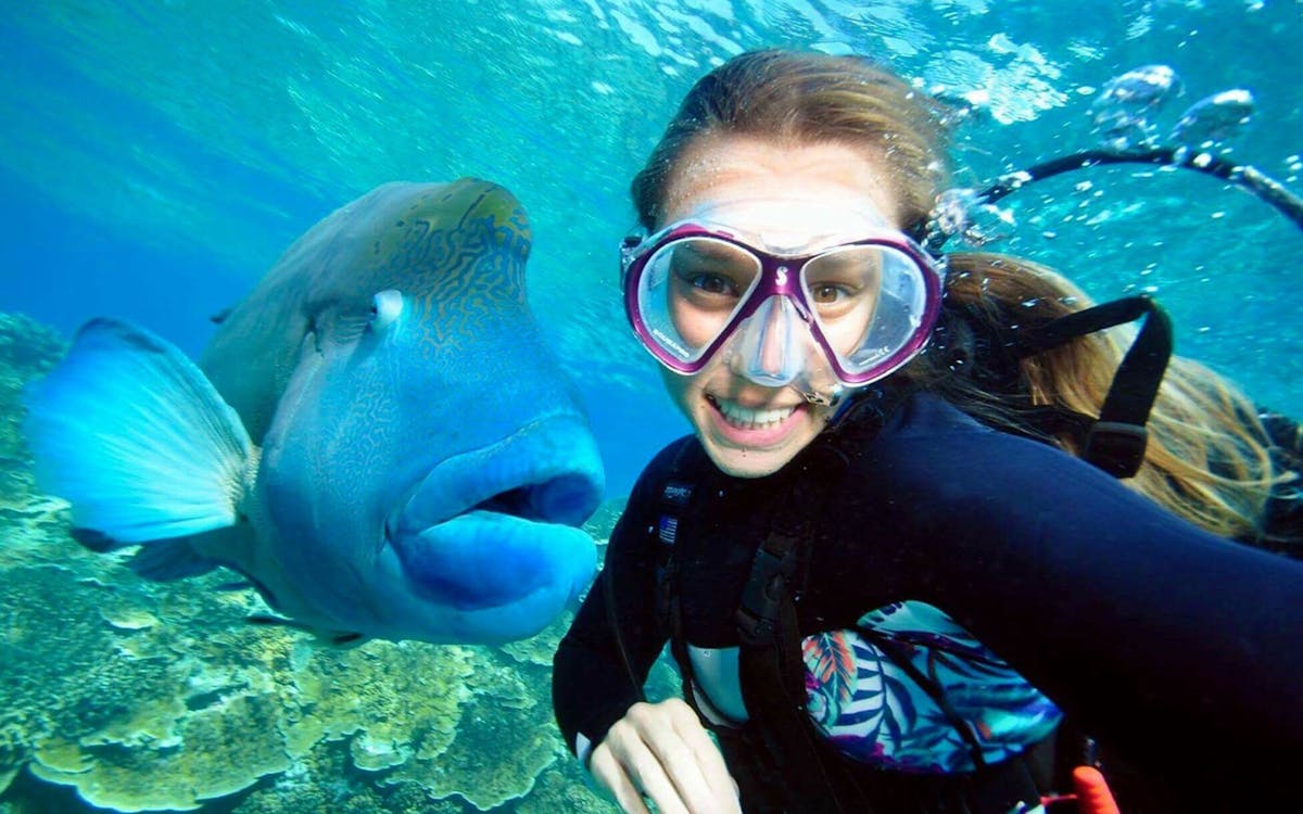 tickets to outer great barrier reef cruise with tropical buffet lunch and snorkelling-4 tickets to outer great barrier reef cruise with tropical buffet lunch and snorkelling-4