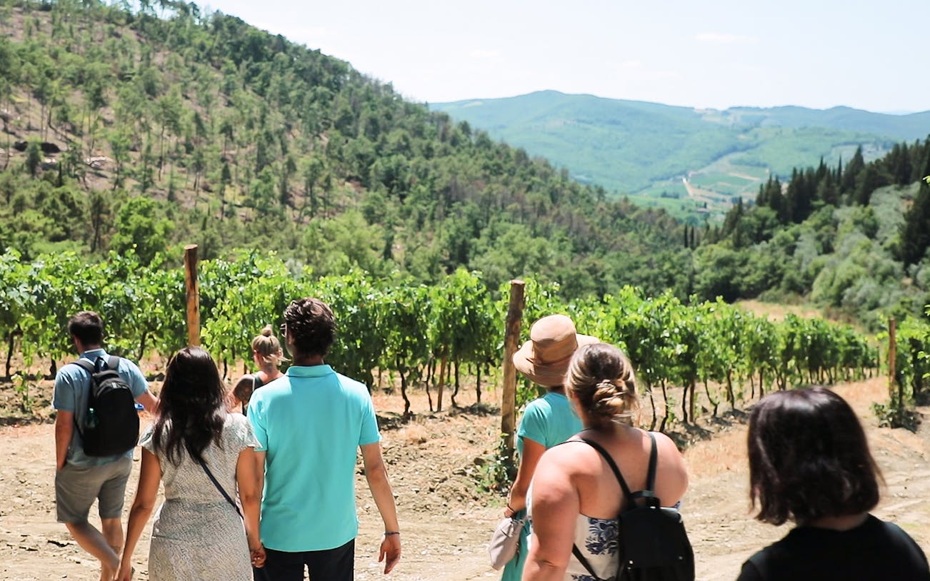 Tourists walking through a vineyard in Chianti, Italy, with scenic hills in the background.
