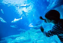Park Galata Tower - Istanbul