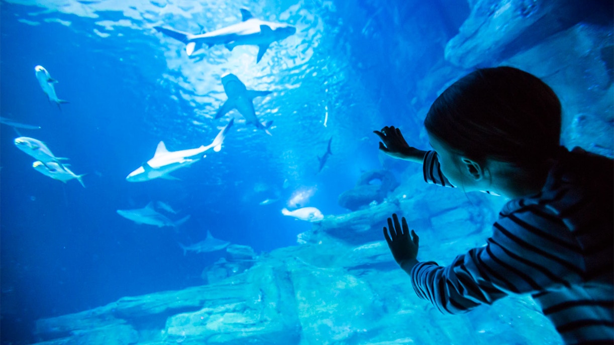 Acquario Parigi biglietti