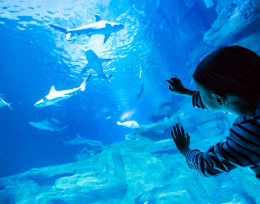 onibus turistico paris hop on hop off