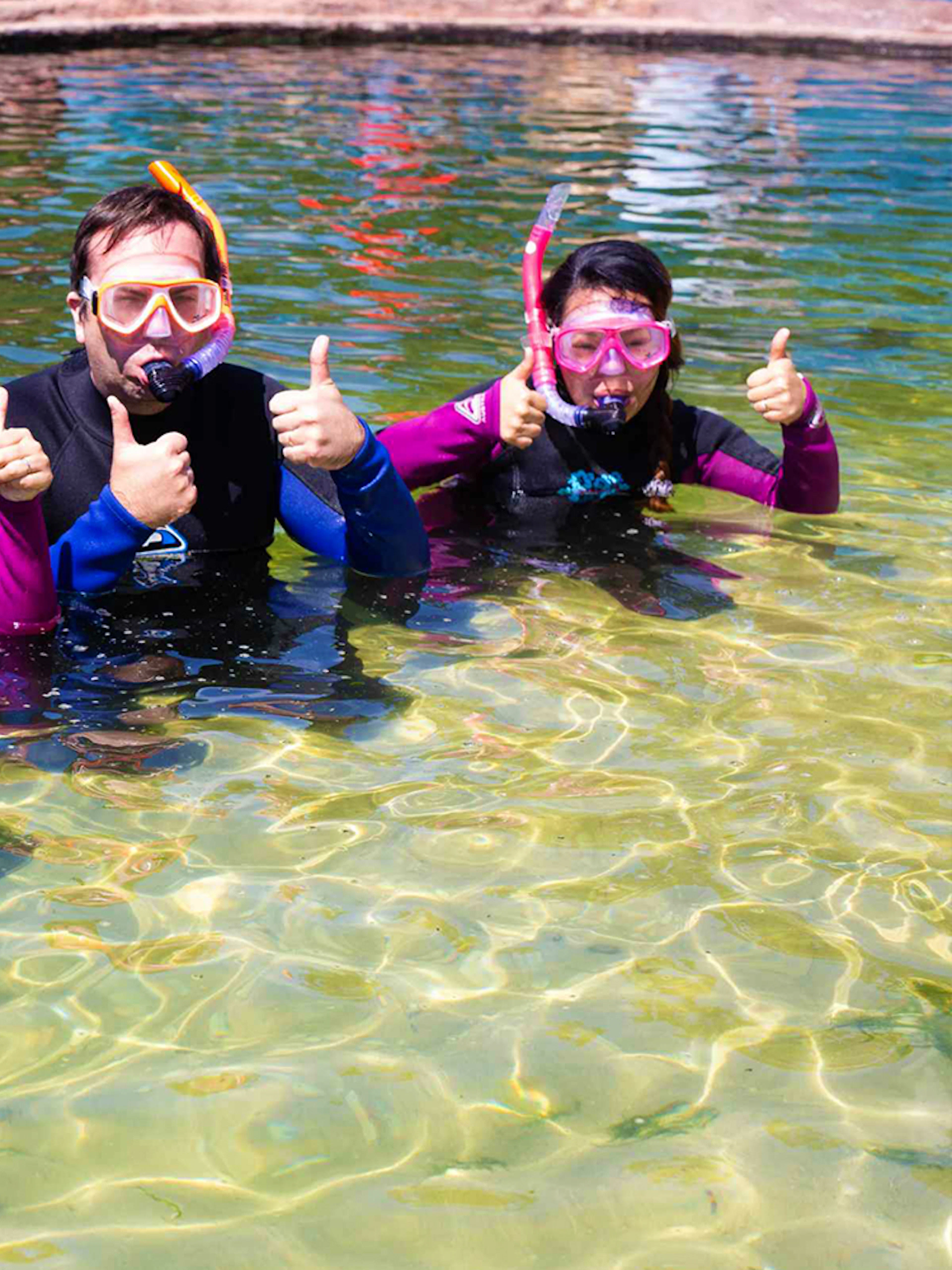 Group of snorkelers giving thumbs up in clear water, ready for shark and ray encounter.