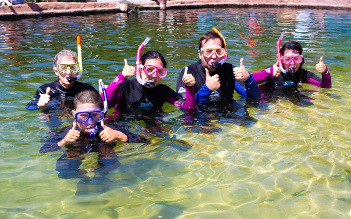 Group of snorkelers giving thumbs up in clear water, ready for shark and ray encounter.