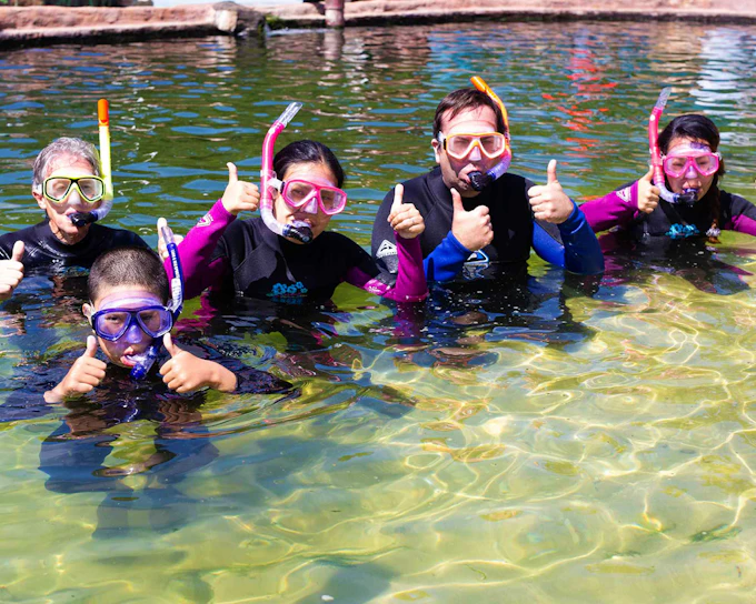 Tickets to Irukandji Shark & Ray Encounters with Reef Shark Snorkel Experience