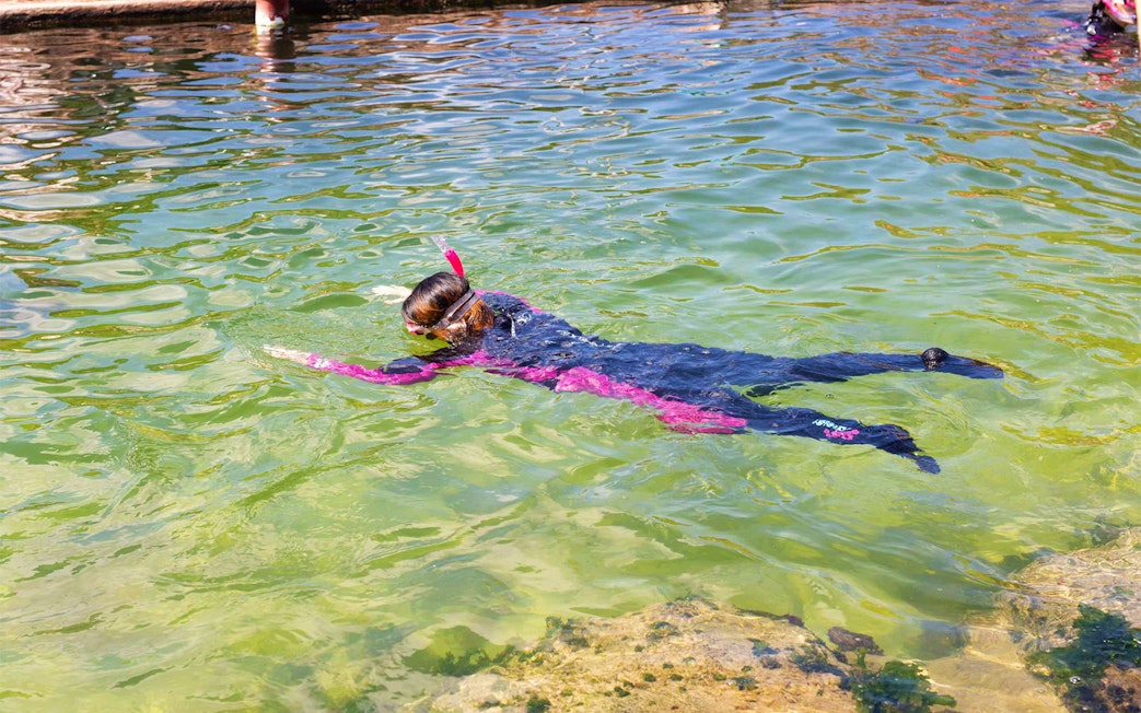 Person snorkeling in clear water near rocky shore.