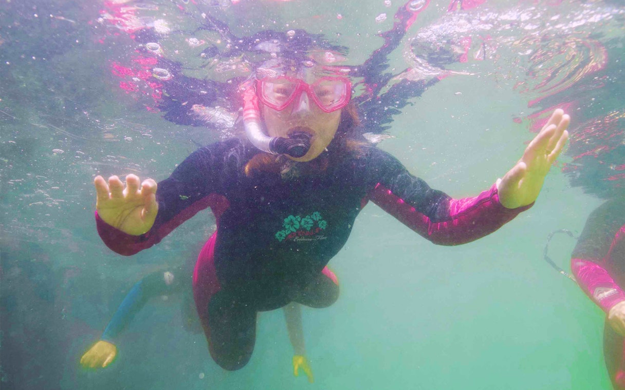 Snorkeler in wetsuit exploring underwater, part of Snorkel with Sharks & Rays tour.