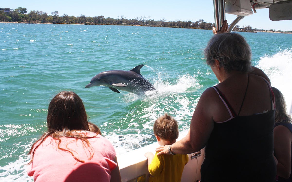 dolphin & scenic marine cruise from perth-3 dolphin & scenic marine cruise from perth-3
