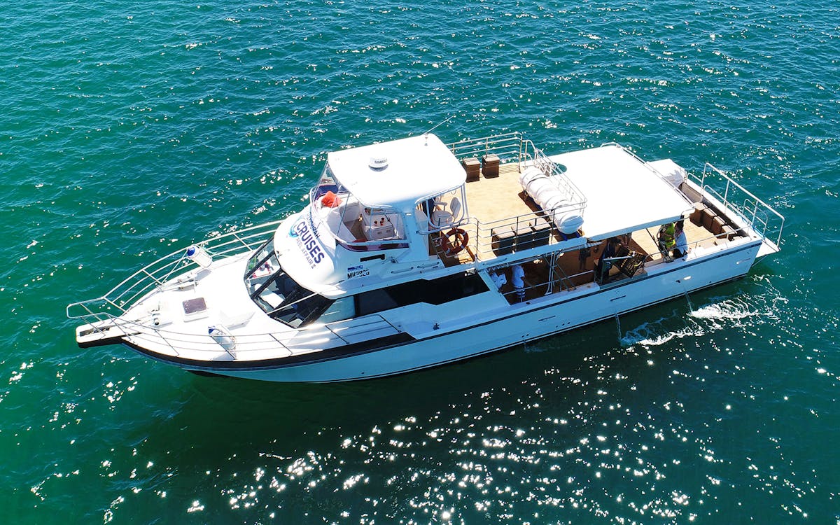 luxe island seafood cruise with optional transfers-3 luxe island seafood cruise with optional transfers-3