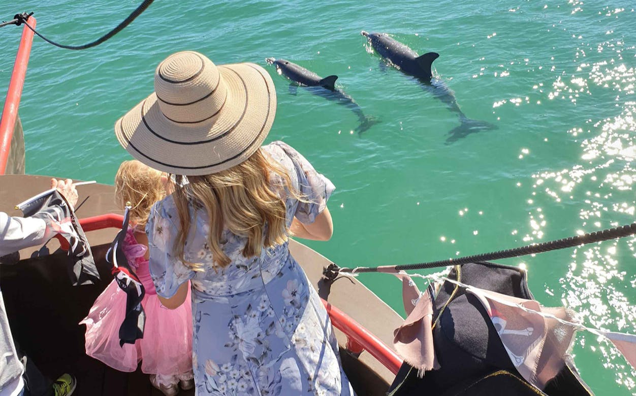 Guests watching dolphins from the Pirate Ship Mandurah during a lunch cruise.