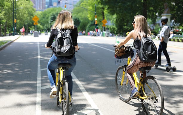 Cyclists riding yellow bikes in Central Park, New York City.