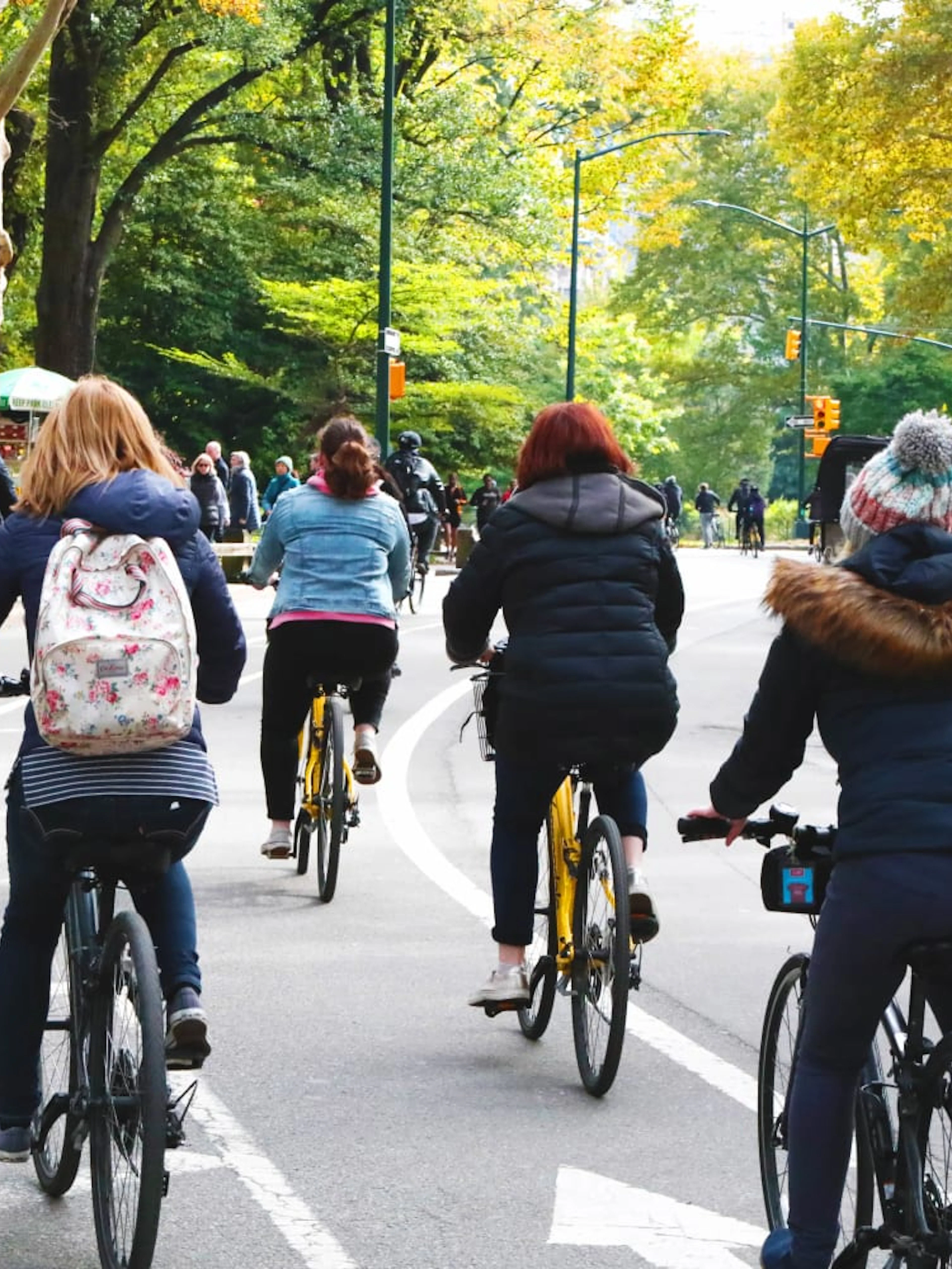 Cyclists riding through Central Park on a guided bike tour.