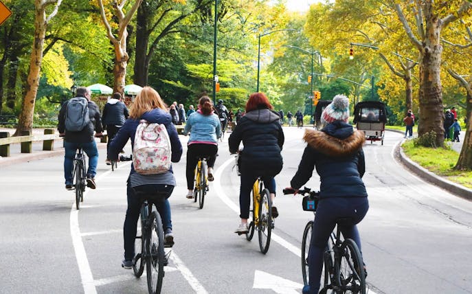 Cyclists riding through Central Park on a guided bike tour.