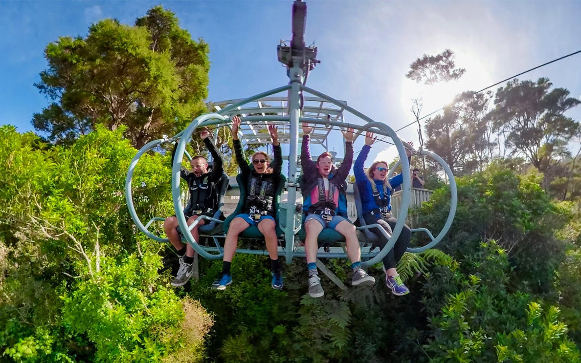 Group enjoying SKYWIRE Experience ride above lush forest.