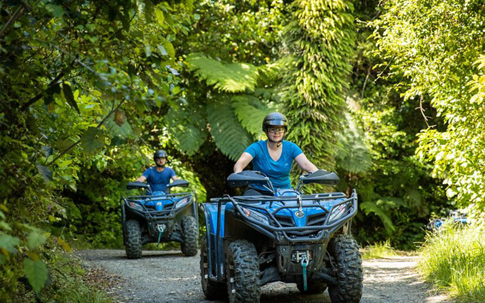 Quad Biking Nelson Farm Forest Ride [2022] Headout