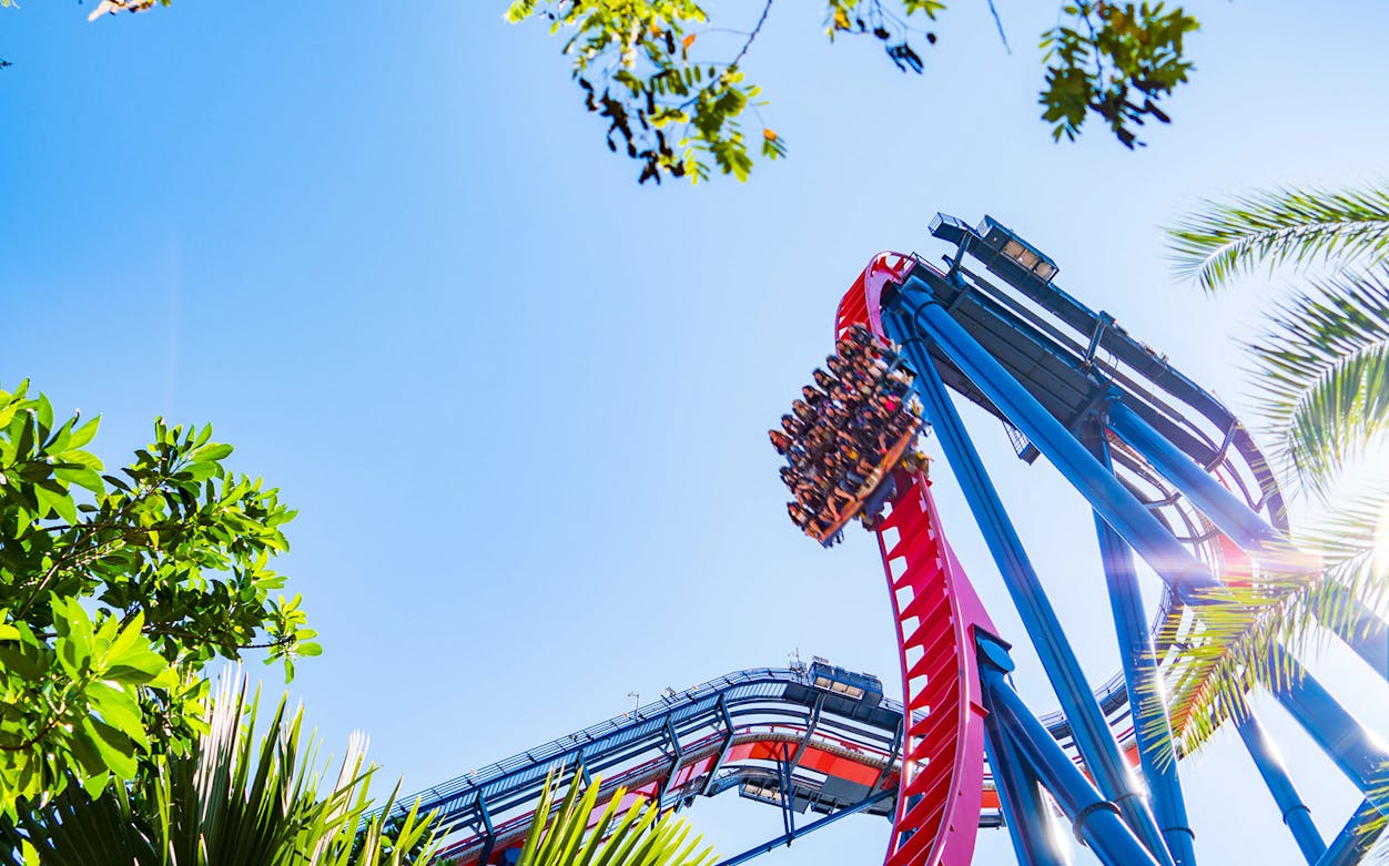 Roller coaster at Busch Gardens Tampa Bay against blue sky.