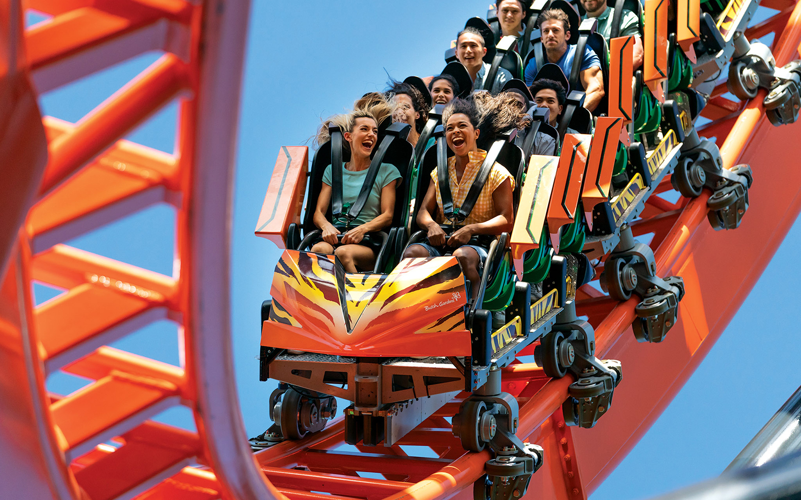 Visitors enjoying a roller coaster ride at Busch Gardens Tampa Bay.