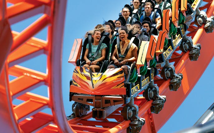 Visitors enjoying a roller coaster ride at Busch Gardens Tampa Bay.