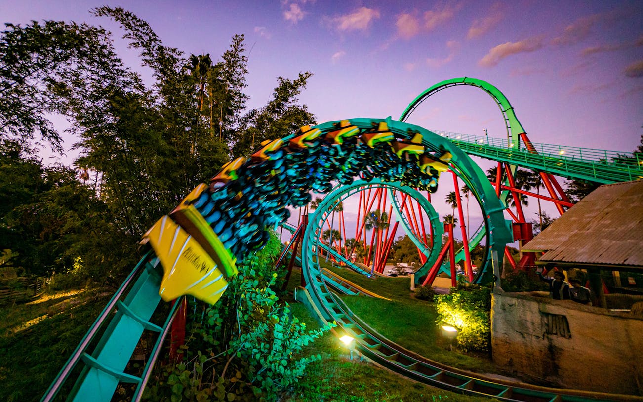 Roller coaster at Busch Gardens Tampa Bay during sunset.