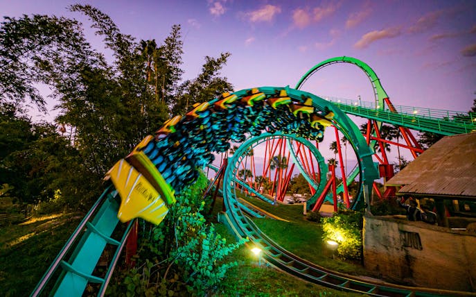 Roller coaster at Busch Gardens Tampa Bay during sunset.