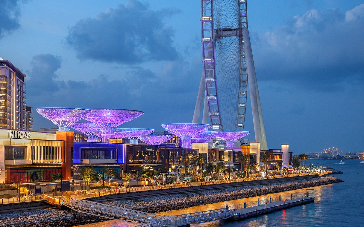 Ain Dubai observation wheel and illuminated waterfront at night.