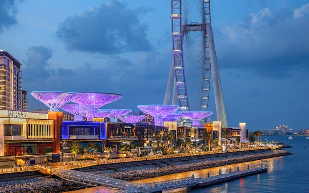 Ain Dubai observation wheel and illuminated waterfront at night.