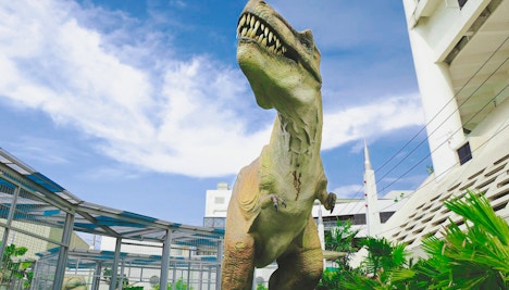 The Top Penang Attractions