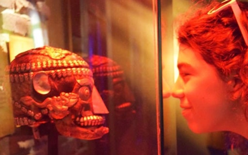 Visitor examining an artifact at Ripley's Believe It or Not! in NYC.
