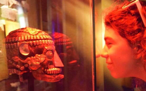 Visitor examining an artifact at Ripley's Believe It or Not! in NYC.