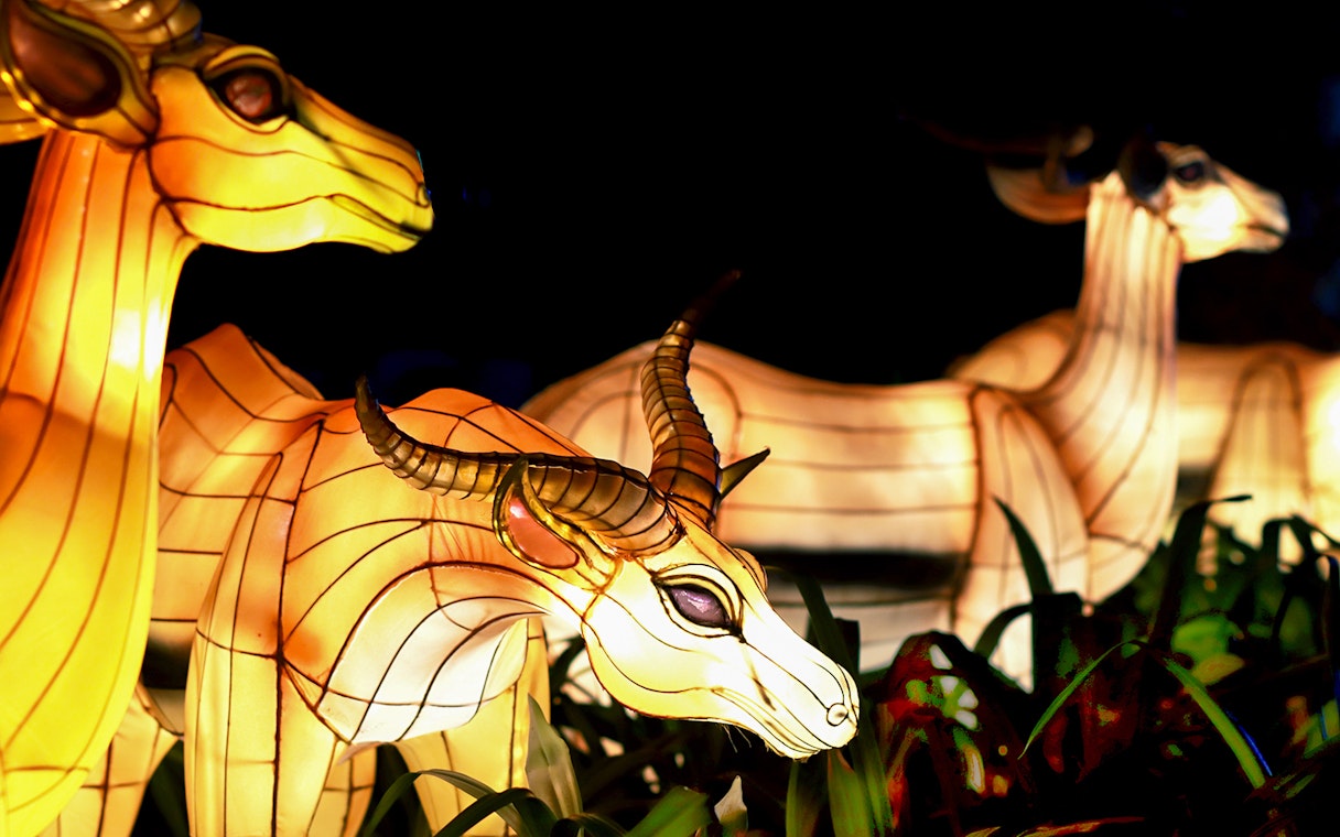 Illuminated animal sculptures at Dubai Garden Glow.