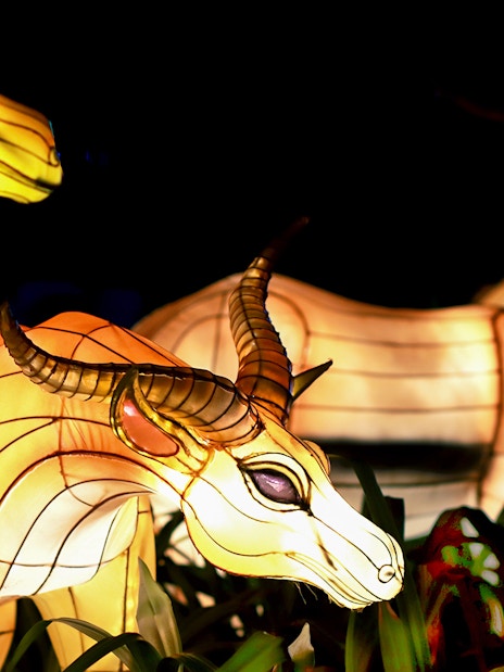 Illuminated animal sculptures at Dubai Garden Glow.