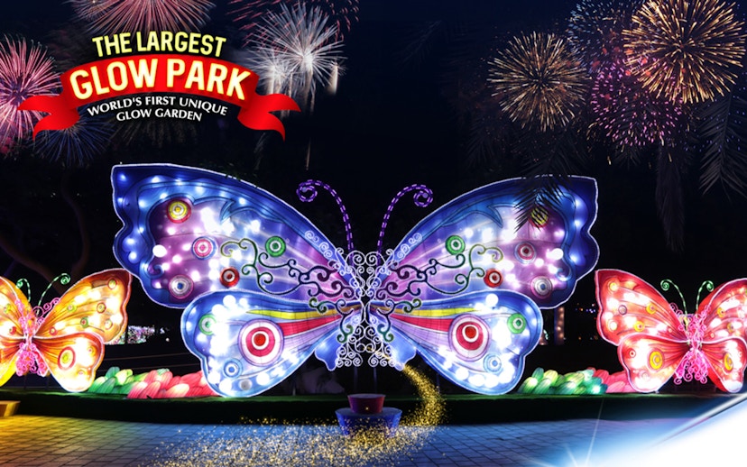 Illuminated butterfly sculptures at Garden Glow with fireworks in the background.