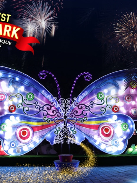 Illuminated butterfly sculptures at Garden Glow with fireworks in the background.
