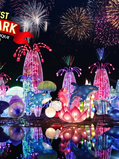 Aquaventure and Garden Glow illuminated sculptures with fireworks in Dubai.