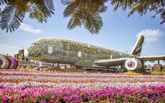 Emirates plane covered in flowers at Dubai Miracle Garden, surrounded by vibrant floral displays.