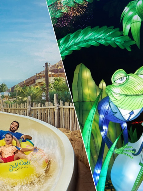 Visitors enjoying a water slide at Wild Wadi Waterpark and illuminated frog display at Dubai Garden Glow.
