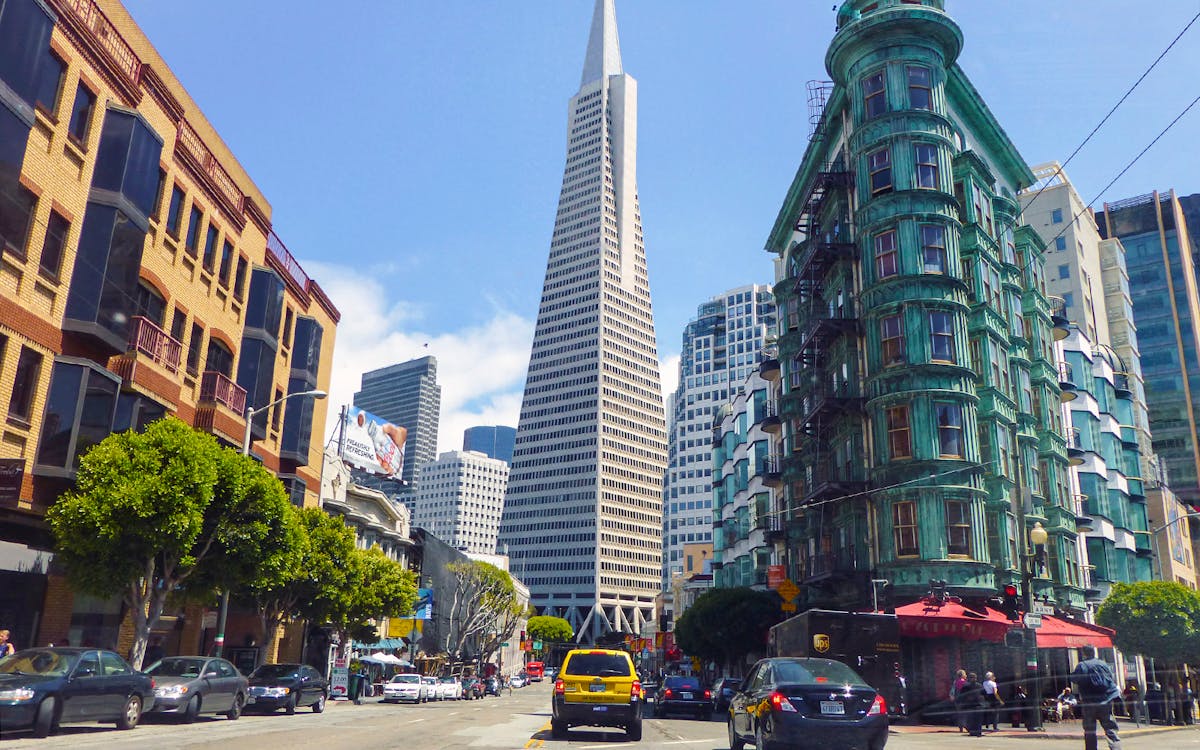 san francisco: hop-on hop-off city tour + bay cruise + 1 day bike rental-6 san francisco: hop-on hop-off city tour + bay cruise + 1 day bike rental-6