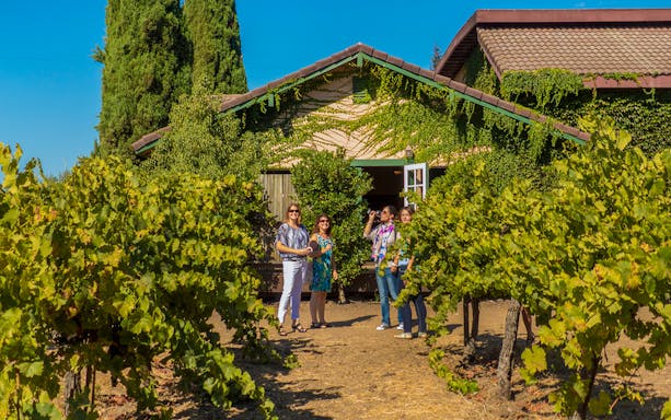 Tourists enjoying wine tasting at a vineyard in Sonoma Valley.