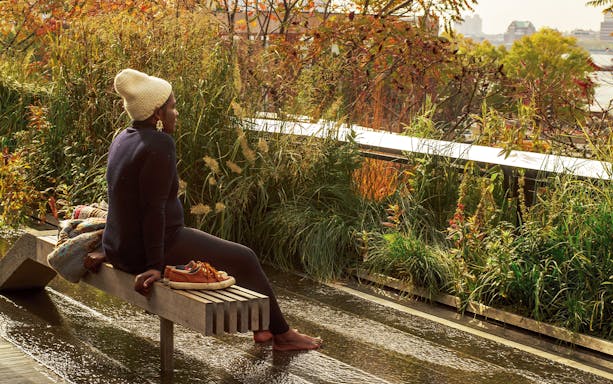 Person sitting on a bench surrounded by greenery on the High Line in New York City.