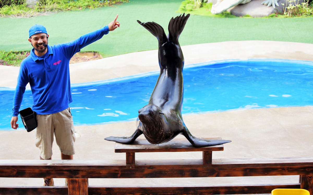 combo: warner bros. world™ abu dhabi + emirates park zoo tickets-12 combo: warner bros. world™ abu dhabi + emirates park zoo tickets-12