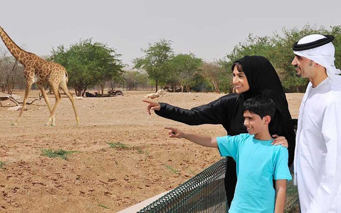 Family observing giraffe at Al Ain Zoo, UAE.